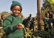 African Bush Camp Foundation - Zimbabwe