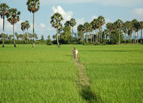 Cambodja - Kep - boer op het platteland - foto: Daniel de Gruiter