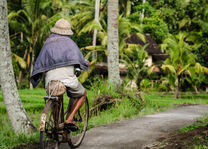 Fietsen op Bali - Indonesië