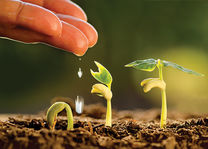Gondwana Collection - Sustainability - water recycling - Namibie