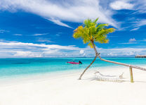 Strand met hangmat op de Malediven - foto: lokale agent