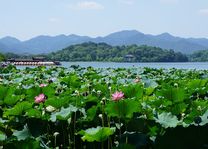 Botanische tuinen nabij West Lake in Hangzhou - China - foto: pixabay