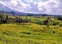 Landschap rondom Jatiluwih (Bali) - Indonesië - foto: pixabay