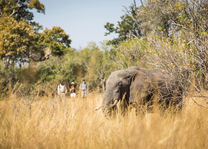 Machaba Camp - wandelsafari - Botswana