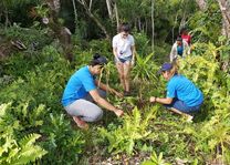 Mauritius Wildlife Foundation