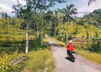 Trip per scooter vanuit Sidemen (Bali) - Indonesië - foto: unsplash