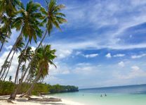 strand met palmbomen - Siquijor - Filipijnen - Intas - CTTO - foto: Intas