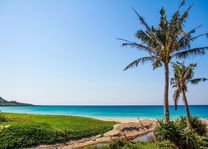 Strand met palmbomen in Kenting - Taiwan - foto: Canva