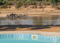 Time Tide Mchenja - zwembad - South Luangwa - Zambia - foto: Time Tide Mchenja