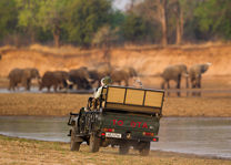 Time Tide Nsolo - gamedrive - South Luangwa - Zambia - foto: Time Tide Nsolo