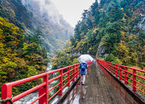 Trekking - Natuur - Japan