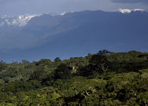 Turaco Treetops - scenery - Kibale National Park