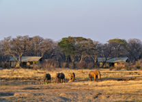 Verney´s Camp - exterior - Hwange - Zimbabwe