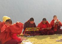 studerende nonnen bij Punakha - Punakha - Bhutan - foto: Mieke Arendsen