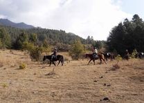 paardrijden in de Bumthang vallei (1) - Bumthang - Bhutan - foto: Sonam Loday