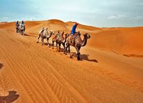 Taklamakan woestijn (Zijderoute) - China - foto: lokale agent