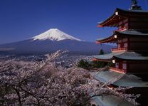 Mount Fuji en de Chureito Peace Pagoda - Japan - foto: lokale agent