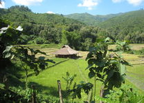 uitzicht vanaf Kamu Lodge - Kamu Lodge - Laos