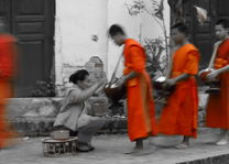 Alms giving in Luang Prabang - Luang Prabang - Laos