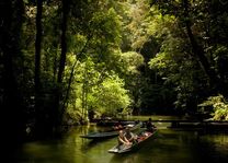 Boottocht in Gunung Mulu National Park - Maleisië