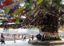 Lumbini - Lumbini - Nepal - foto: Archief