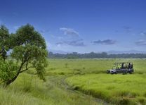 jeepsafari in het Chitwan National Park (2) - Chitwan National Park - Nepal - foto: Barahi Jungle Lodge