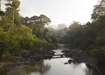 Danum Valley - Maleisië - foto: flickr