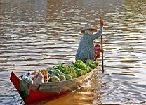 boot mekong delta - Mekong Delta - Vietnam