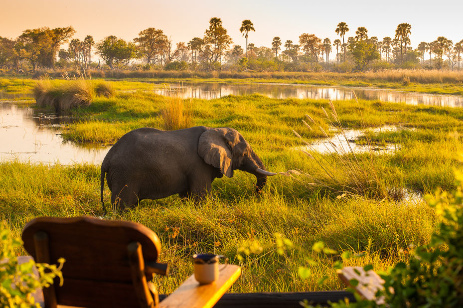 Delta Camp - veranda - Okavango Delta - Botswana
