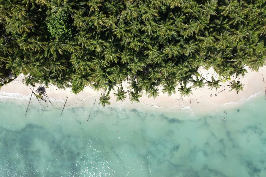  - foto: unsplash
