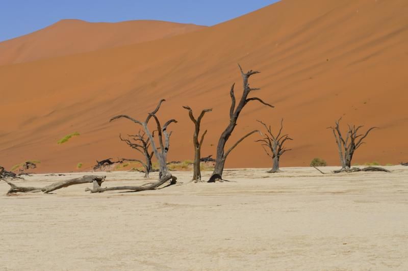 Enorm genoten van veelzijdig Namibië