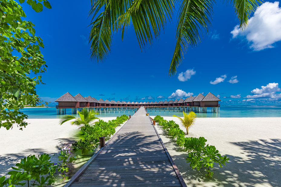 Malediven - Sun Siyam Olhuveli - steiger naar watervillas - foto: lokale agent