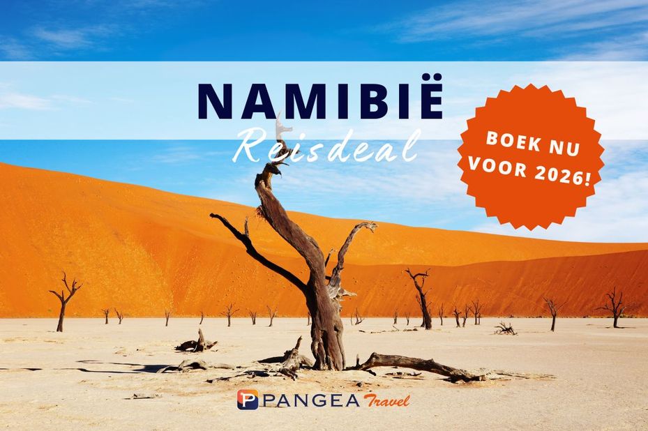  - foto: Canva