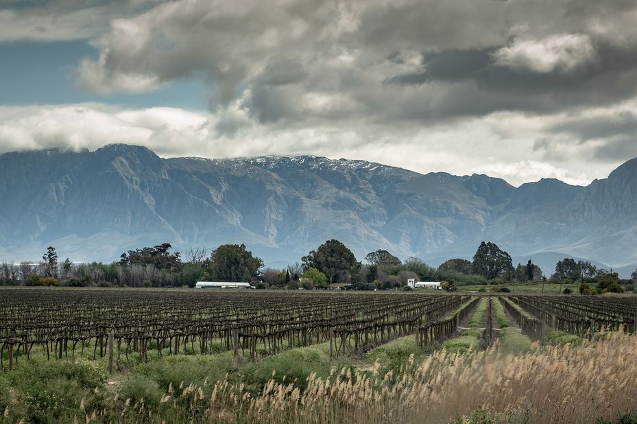 Oudtshoorn ZuidAfrika PANGEA Travel