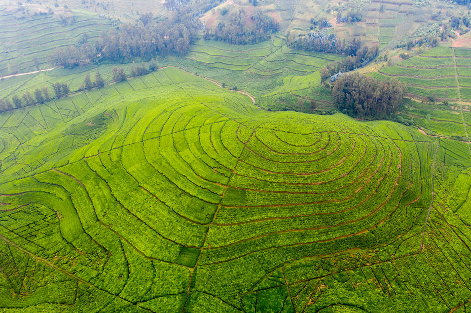 Kibuye - Rwanda | PANGEA Travel