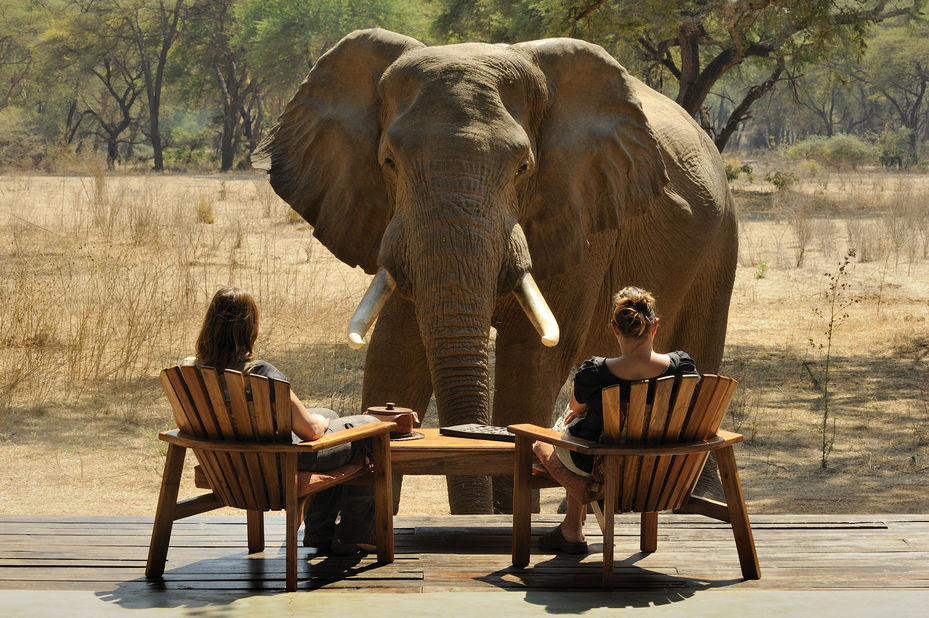 Blog: reizen naar  Zambia - hoe zit het met de kosten?