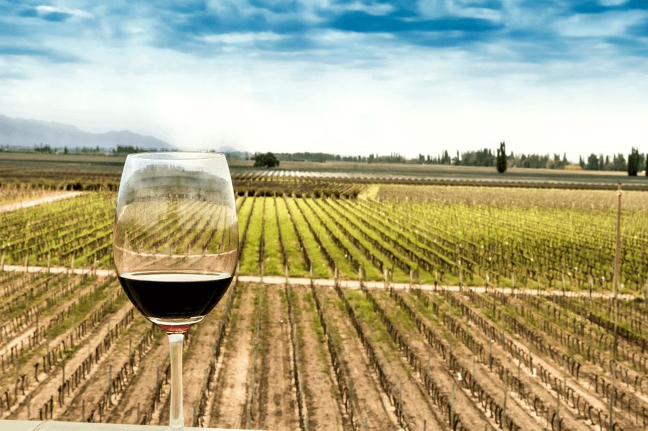 glas rode wijn - wijngaarden - Mendoza - Argentinië - foto: Canva