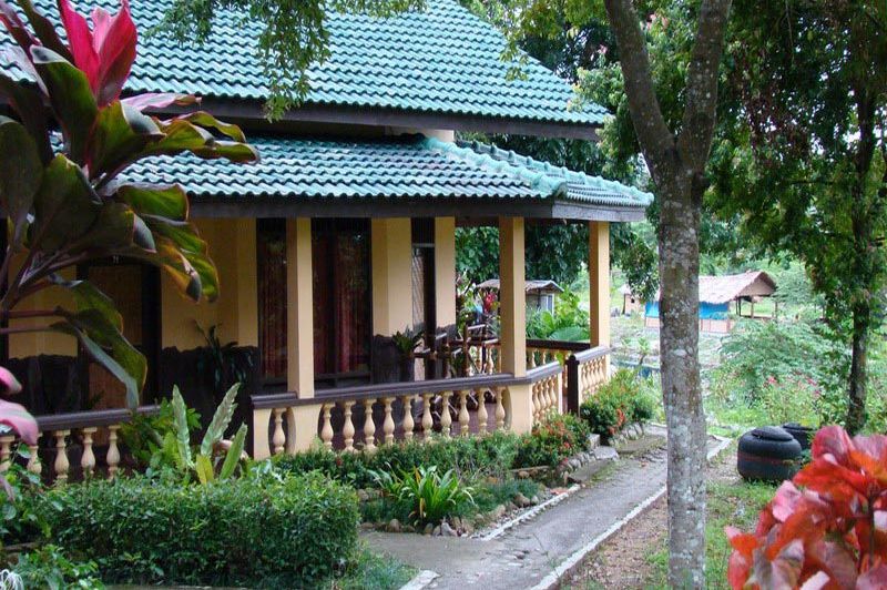 cottage - Bukit Lawang Cottages - Bukit Lawang - Indonesië