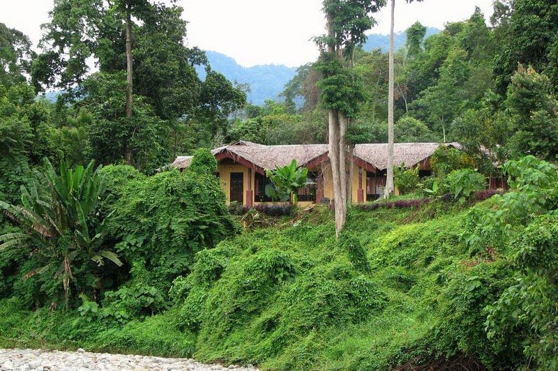 cottage - Bukit Lawang Cottages - Bukit Lawang - Indonesië