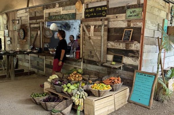 Zeer gevarieerde reis door het mooie Mauritius!