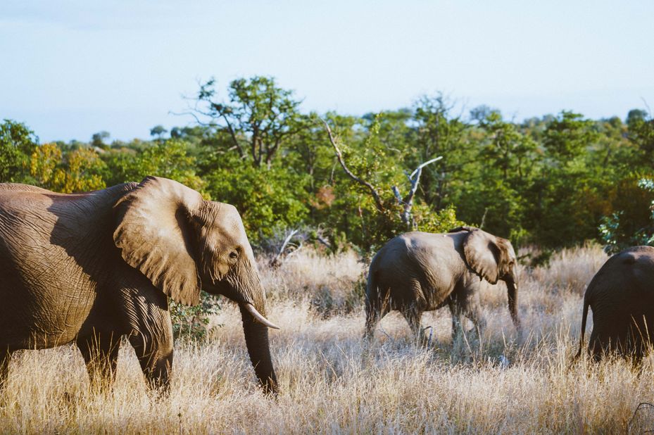 Veelzijdige reis door het oosten van Zuid-Afrika