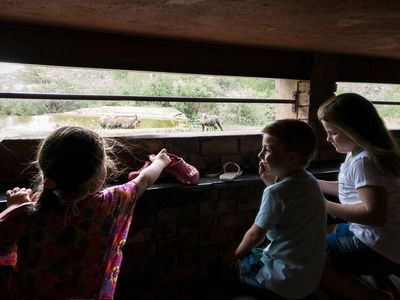 Update regelgeving: reizen met kinderen naar Zuid-Afrika