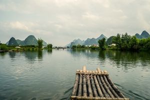 Bamboevlotvaren in Guilin - China - foto: pixabay