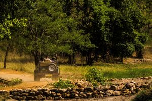 Bandhavgarh National Park - Jeep - India - foto: flickr