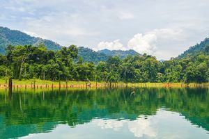 Natuur rondom Lake Kenyir - Maleisië - foto: Canva