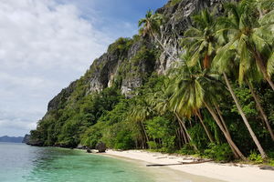 strand met palmbomen Palawan - Filipijnen - Intas - CTTO