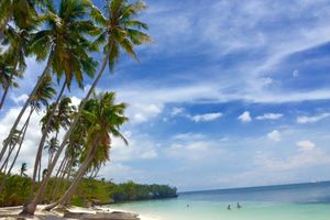 strand met palmbomen - Siquijor - Filipijnen - Intas - CTTO