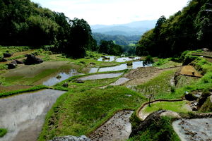 Binnenland van Tana Toraja (Sulawesi) - Indonesië - foto: flickr