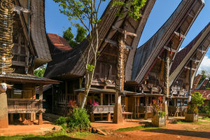 Tongkonans  in Tana Toraja (Sulawesi) - Indonesië - foto: flickr