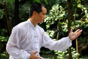 Tai Chi master in stadspark - China